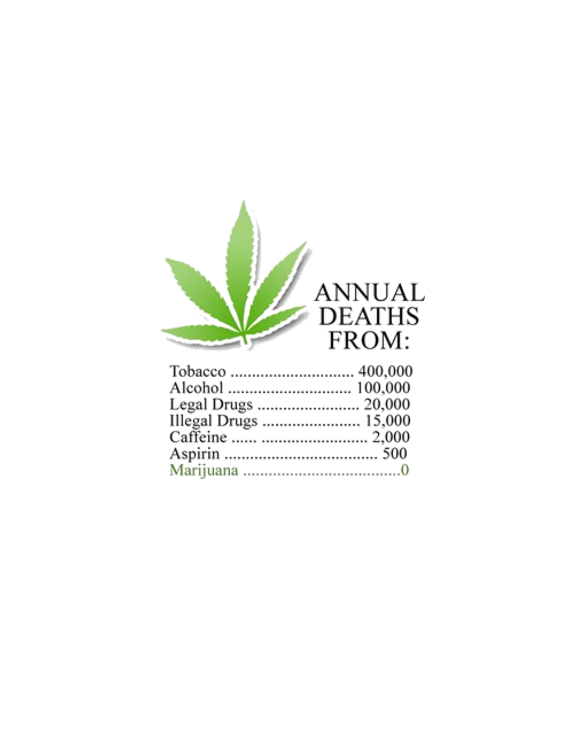 Annual deaths from Marijuana