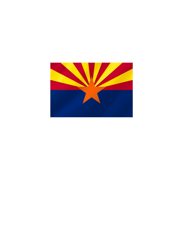 Arizona State Flag White