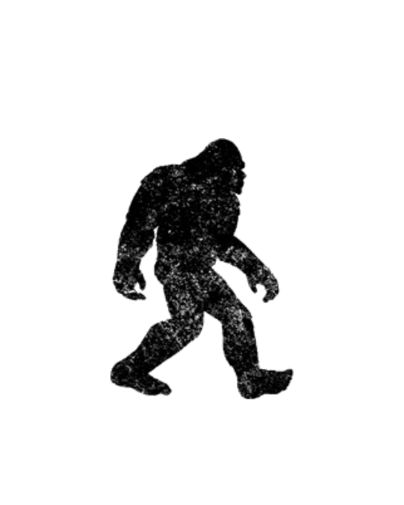 Bigfoot Silhouette Light T-Shirt