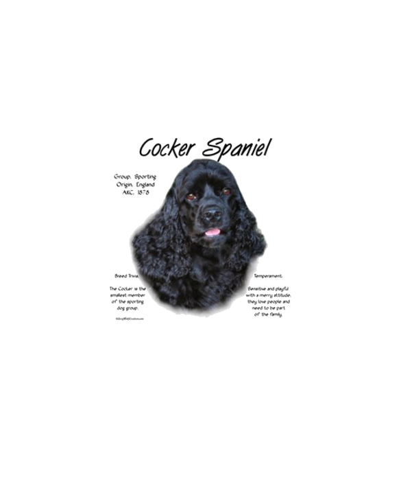 Cocker Spaniel (black)