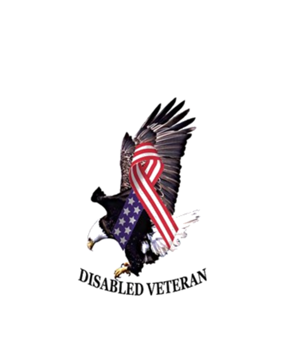 disabled-veteran-eagle-and-ribbon-t-shirt