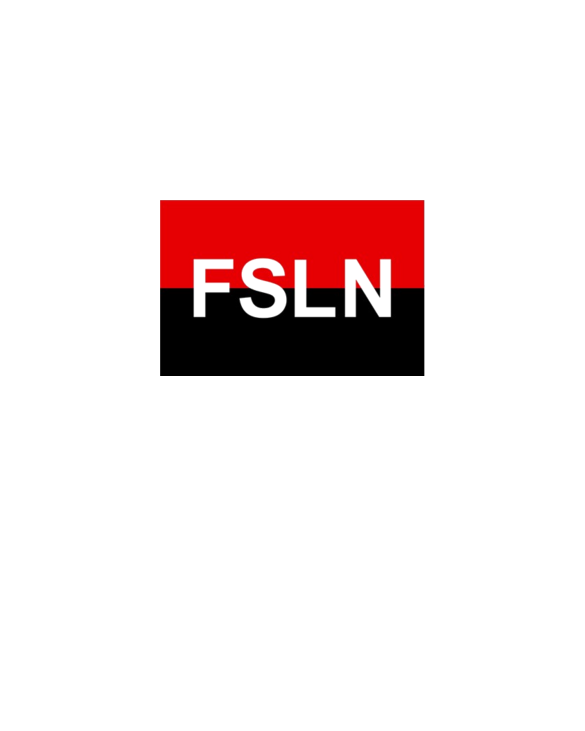 fsln t shirt