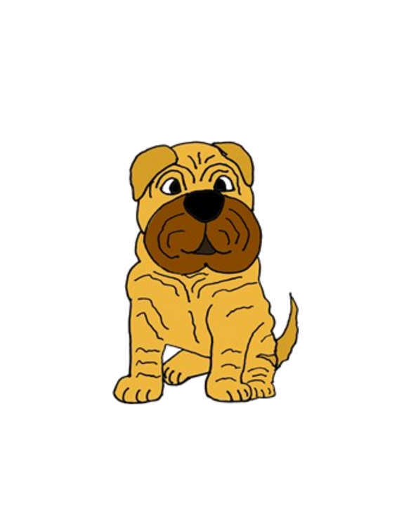 Funny Shar Pei Puppy Dog