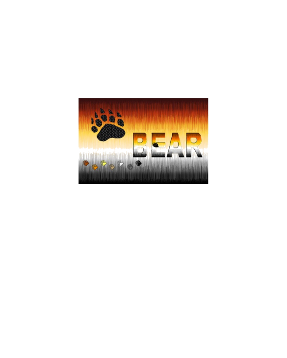 FURRY BEAR PRIDE FLAG/BEAR Dark