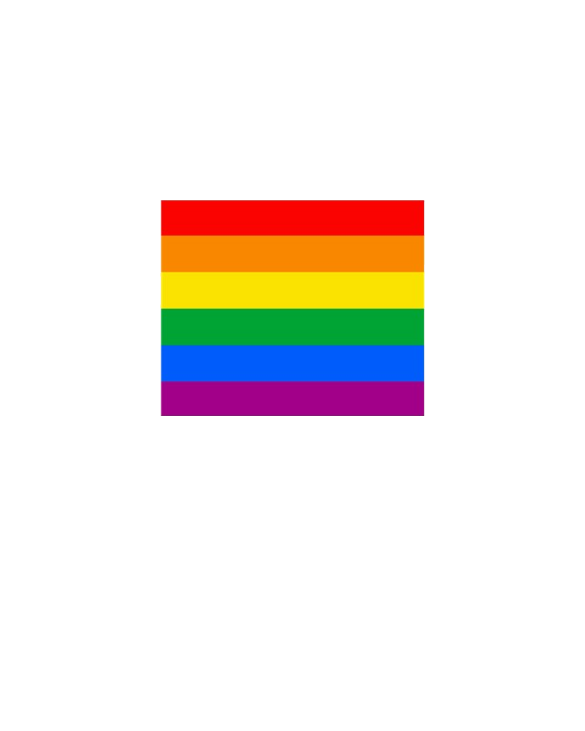 GAY PRIDE FLAG - RAINBOW FLAG