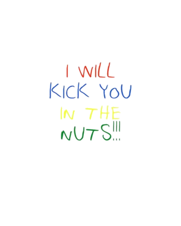 I will kick you in the nuts!