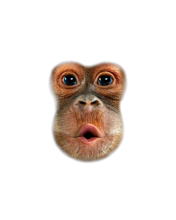 Monkey Stomach Funny Meme Cool Trending Viral Video T-Shirt