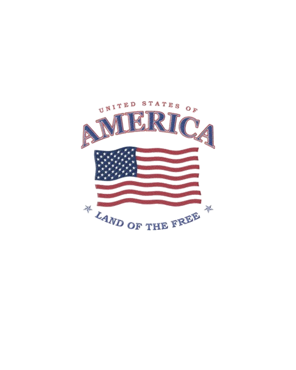 patriotic American Flag Light T-Shirt