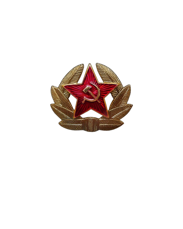 Soviet Soldier Insignia