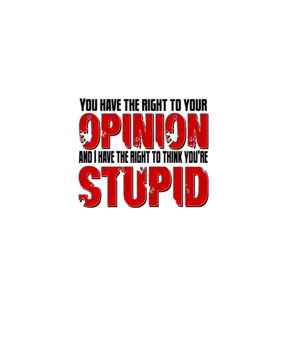 Stupid Opinion