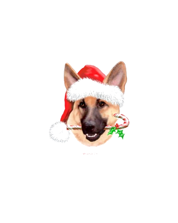 Tan Shep Christmas