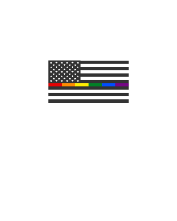 Thin Rainbow Line Flag