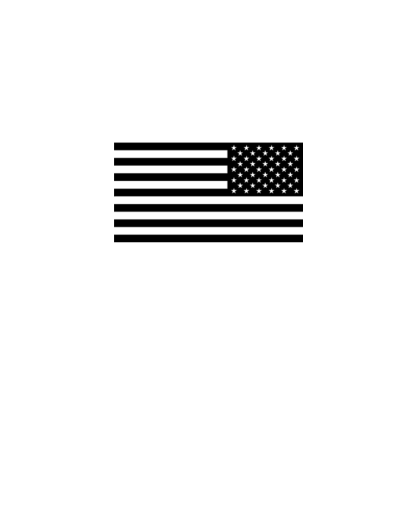 U.S. Flag: Black Reverse