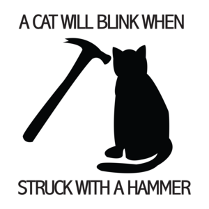 A Cat Will Blink When Struck With A Hammer