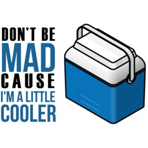 Don't Be Jealous Just Because I'm A Little Cooler