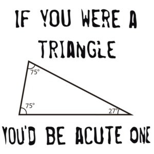 If you were a triangle you'd be acute one. Funny