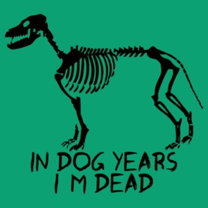 In Dog Years I'm Dead Funny