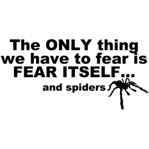The Only Thing We Have To Fear Is Fear Itself And Spiders