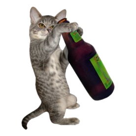 Cat Beer