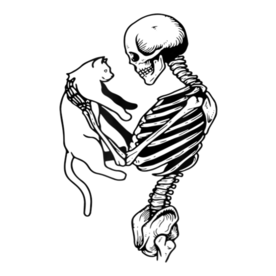 Funny Skeleton Holding A Cat Halloween T-Shirt T-Shirt