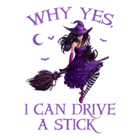 Why Yes I Can Drive A Stick Funny Halloween Witch Women Girl T-Shirt